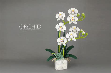 LEGO IDEAS Orchid Project Creation Achieves 10 000 Supporters - Toys N ...