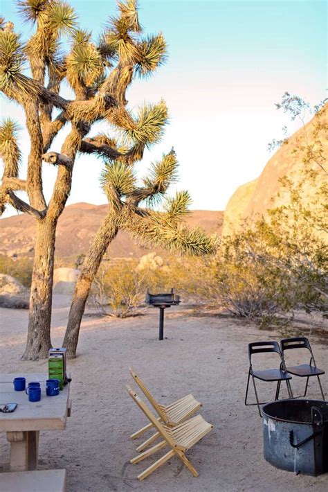 Joshua Tree Camping - What You Need to Know » Local Adventurer