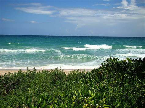 Wild Beach Free Stock Photo - Public Domain Pictures