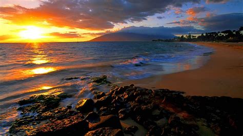 Maui, Hawaii, The Favorite Island For Hollywood Celebrities ...