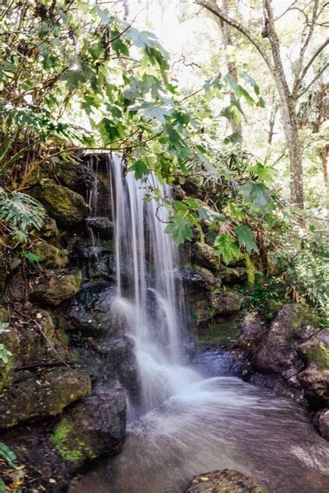 20 Photos to Inspire you to visit Rainbow Springs State Park - Couple ...