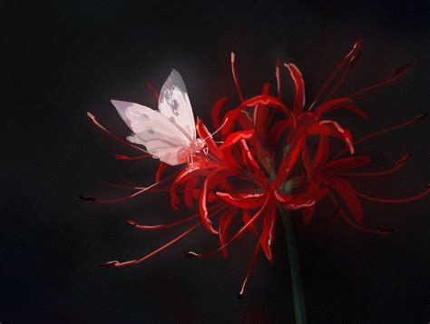 음믕이🚮 on Twitter | Red spider lily, Anime scenery, Aesthetic art