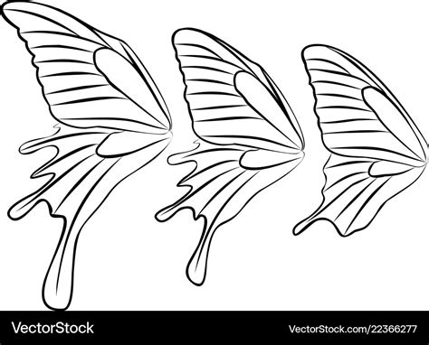 Butterfly wings Royalty Free Vector Image - VectorStock