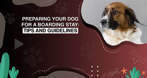 Preparing Your Dog for a Boarding Stay: Tips and Guidelines