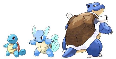 Squirtle - Wartortle - Blastoise | Evolution art, Pokemon, Pokemon project