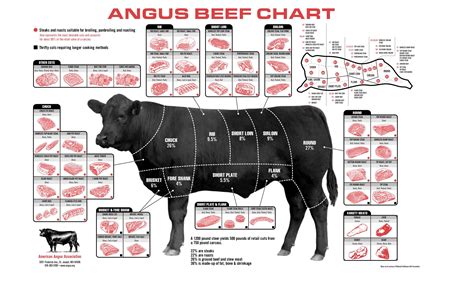 Angus Beef Chart Butcher Cuts Of Meat - Beef Poster