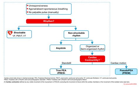 Pulseless Electrical Activity In The Emergency Department | RECAPEM