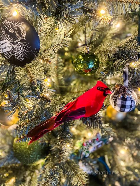 If You See a Cardinal at Christmas, Here's What it Can Mean