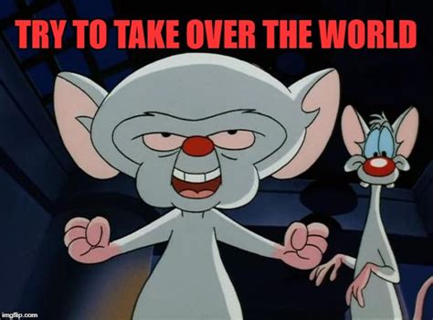 Pinky And The Brain Meme Gif