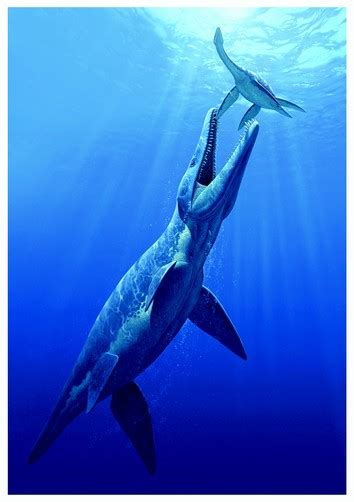 Pliosaurus Pictures & Facts - The Dinosaur Database