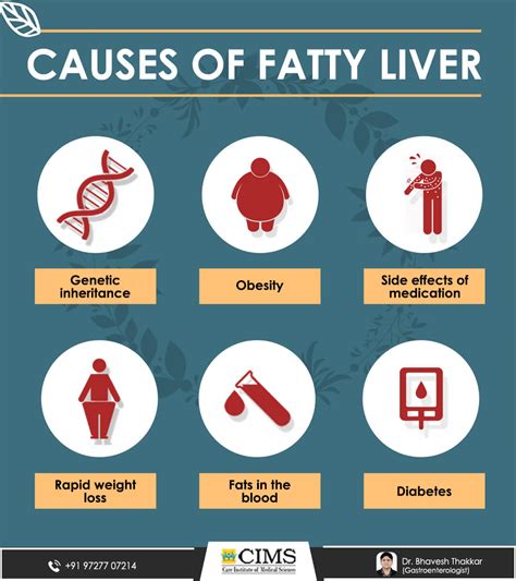 Causes Of Fatty Liver Dr Bhavesh Thakkar