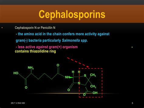 PPT - 5th generation cephalosporins PowerPoint Presentation, free ...