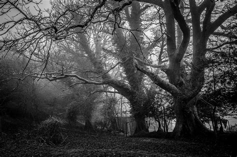 25 Spooky and Creepy Black and White Photos | Light Stalking