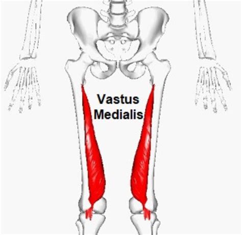 Vastus Medialis Oblique Exercises