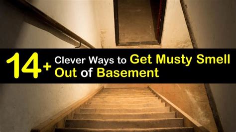 14+ Clever Ways to Get Musty Smell Out of Basement