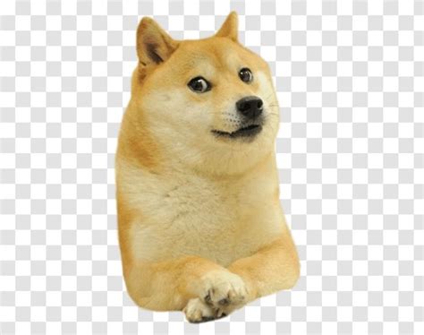 Dogecoin Shiba Inu Clip Art - Puppy - Transparent PNG