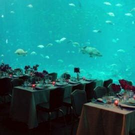 Event Venues In Atlanta Georgia | Georgia Aquarium