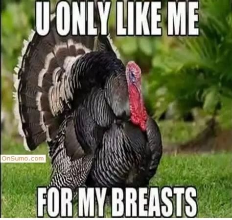 Best Thanksgiving Memes For 2022 | Gobble Til Ya Wobble!