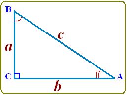 Perbandingan Trigonometri pada Segitiga Siku-Siku - Biology Page