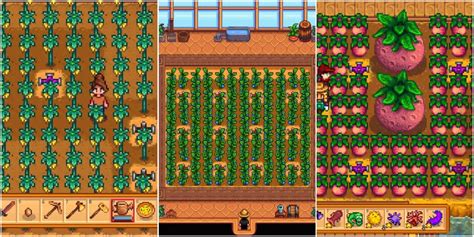 Stardew Valley: 14 Best Crops To Grow In The Greenhouse