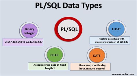 PL/SQL Data Types | Features and Functions of PL/SQL with Examples