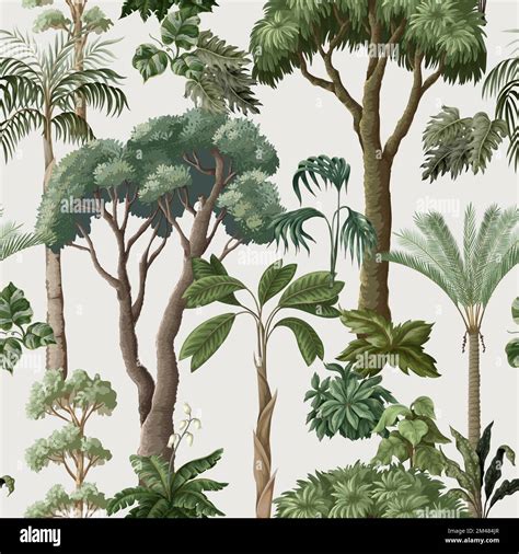 Seamless pattern with Jungle trees and plants. Vector Stock Vector ...