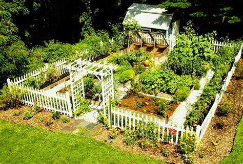 Vegetable Garden Design Ideas Backyard - Image to u