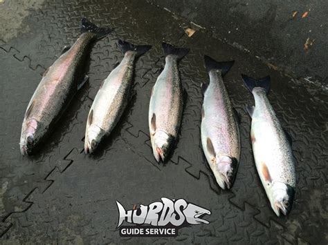 Kokanee Fishing | Hurds Guide Service