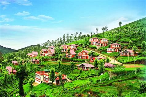 15 Best Hotels In Ooty For Honeymoon For A Melodious Sojourn