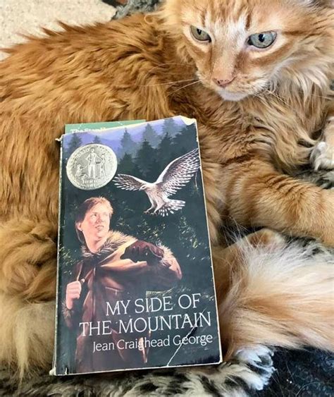 Book Review: My Side of the Mountain | Words and Reviews