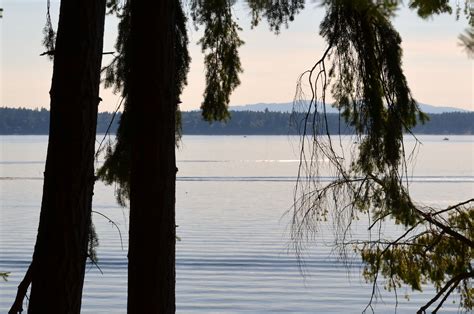 Andy's Marine Park, Anderson Island, WA... Photo by Wendy Lyons ...