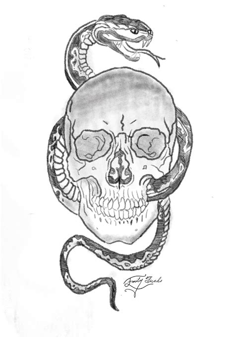 Snake Skull Drawing