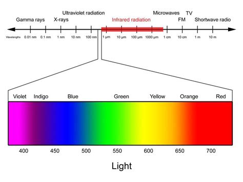 DV101: Making the Invisible Visible: Understanding Infrared Filtration ...