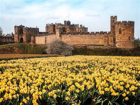 10+ Magical Alnwick Castle Harry Potter Filming Locations & Activities ...