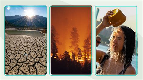 The Impact of Droughts, Heat Waves, And Wildfires On The US | theSkimm