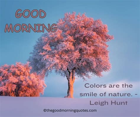 54+ Beautiful Good Morning Nature Quotes - Good Morning Quotes