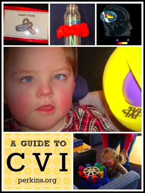 Strategies for Assessment and Intervention for Children with CVI ...