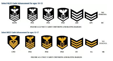 Sea Cadet Rank Insignia | Free Nude Porn Photos