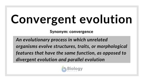 Convergent evolution Definition and Examples - Biology Online Dictionary