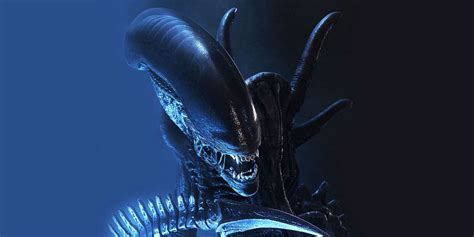 Alien: Covenant reveals Xenomorph origin in preview