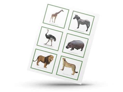 Safari Animals Matching Games - The Purposeful Nest