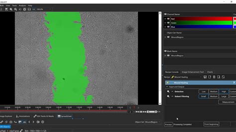 Wound Healing Assay Quantified - YouTube