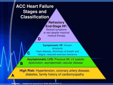 PPT - Acute vs. Chronic Heart Failure PowerPoint Presentation, free ...