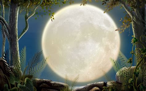 Full Moon wallpaper