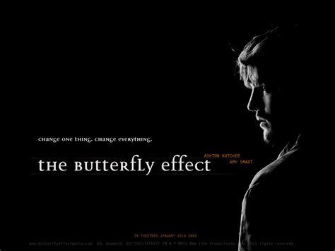 The Butterfly Effect - The Butterfly Effect Wallpaper (18262533) - Fanpop