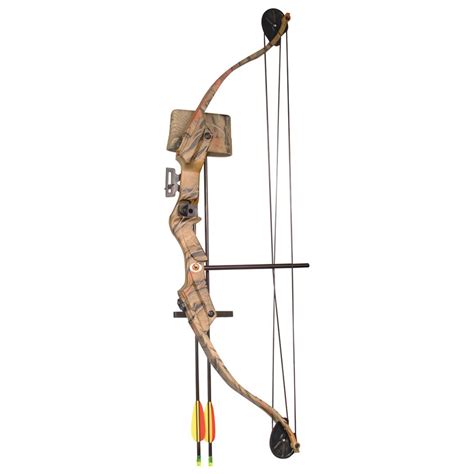 Arrow Precision® Stag Youth Archery Recurve / Compound Set - 181589 ...