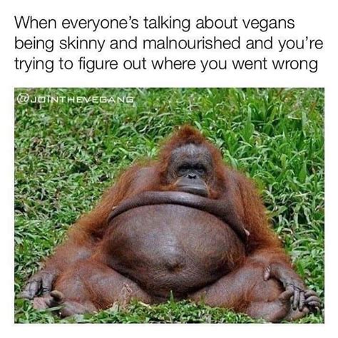 Vegan Jokes on Instagram: “It all started with beyond meat.... ☘ 📷 ...