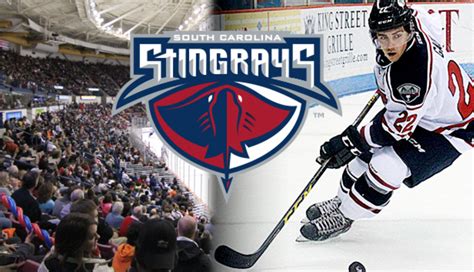 South Carolina Stingrays Hockey | Charleston Events & Charleston Event ...