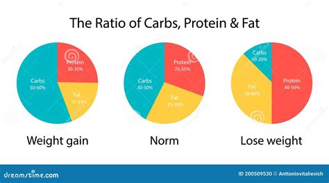 Fats And Protein Staying In Balance - Pictured As A Metal Scale With ...