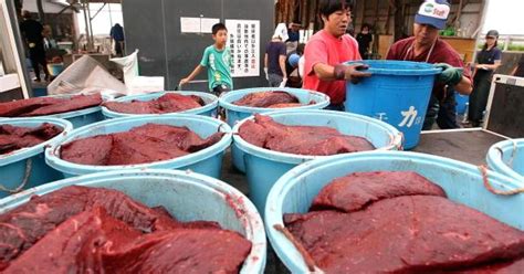 So what's it cost to eat whale meat these days? | Japan, Meat, Whale